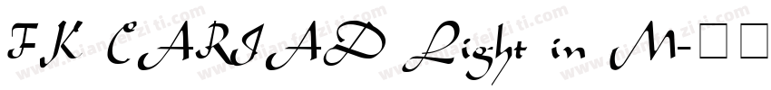 FK CARIAD Light in M字体转换